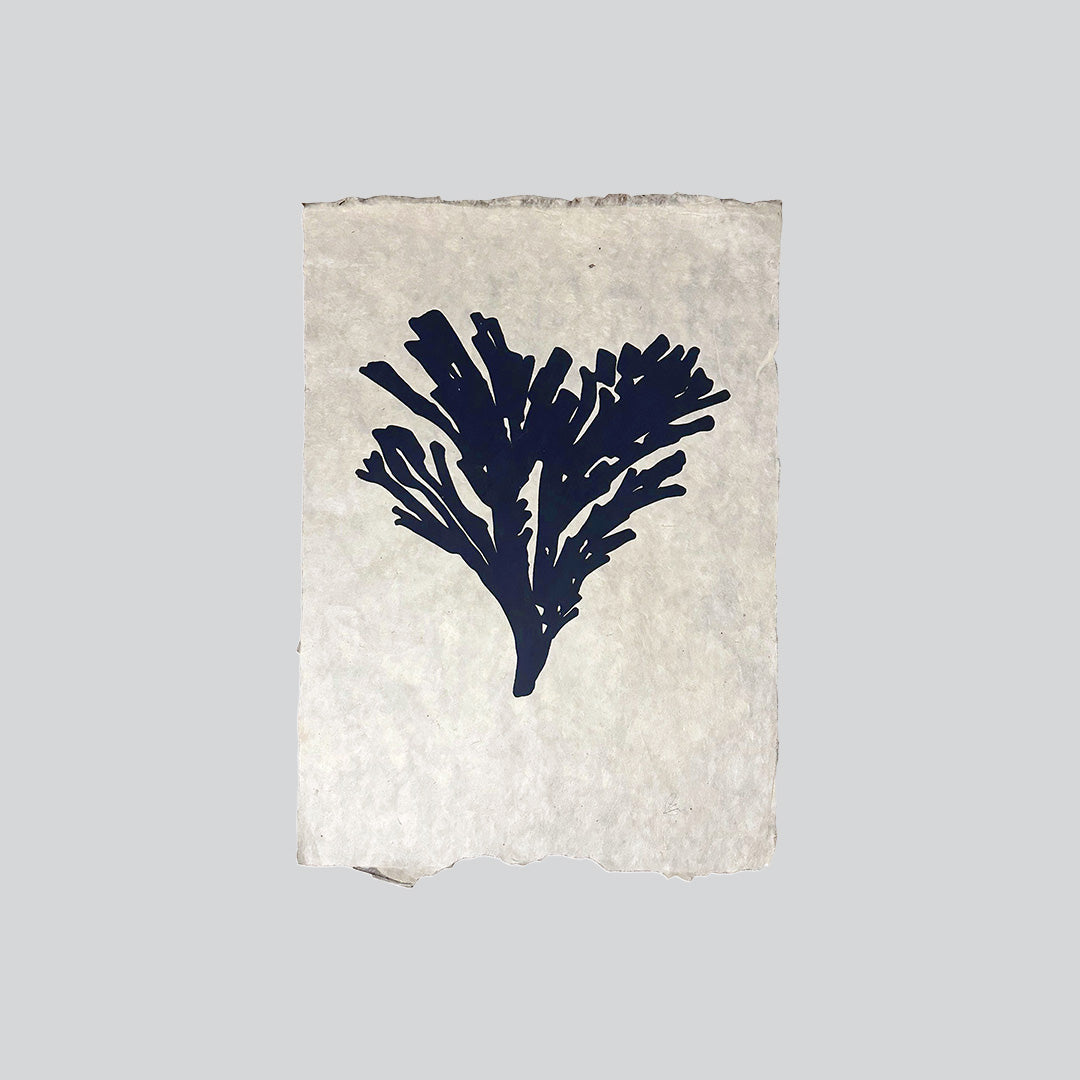 ‘Gwymon I’ Print