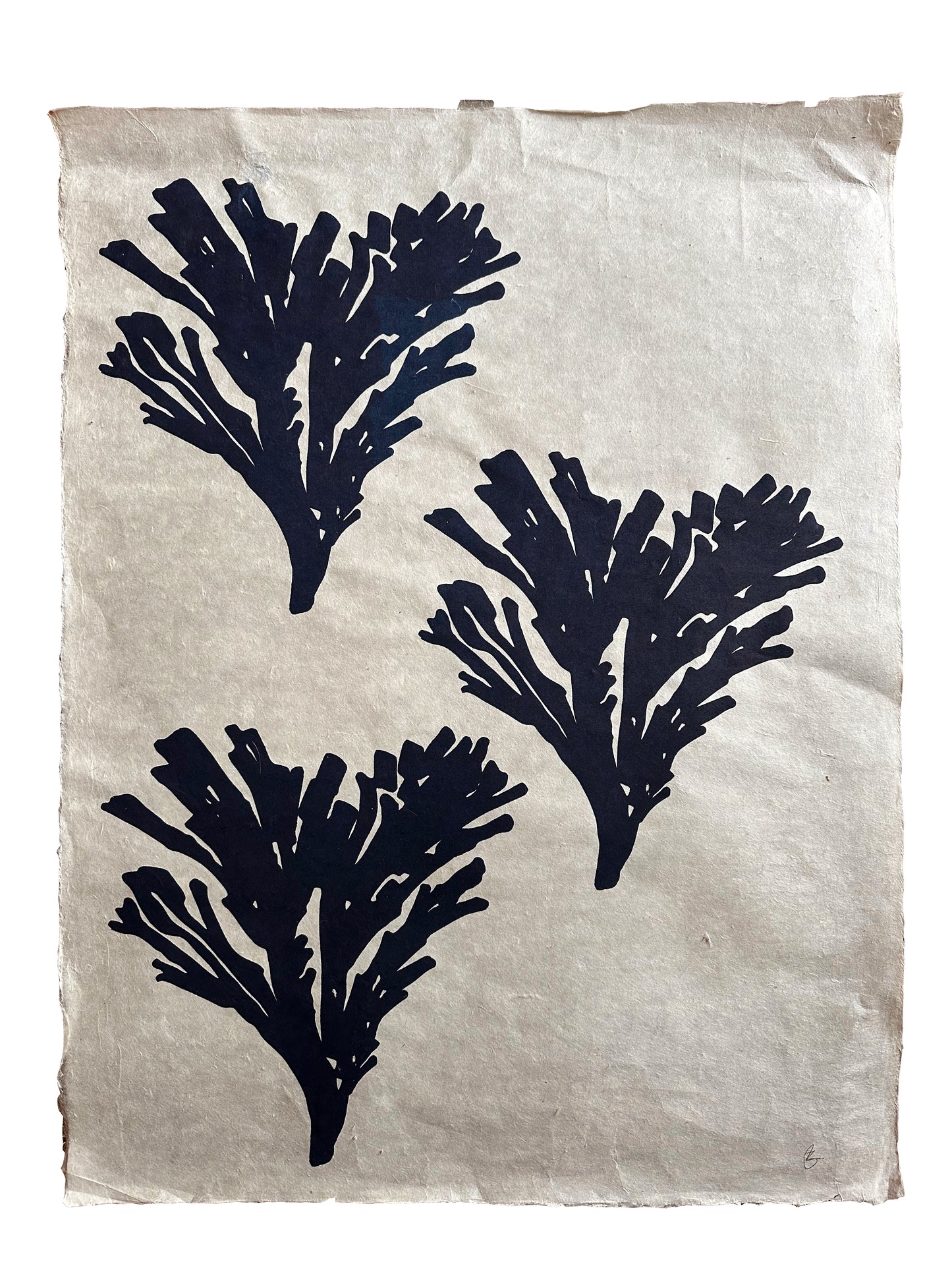 ‘Gwymon III’ Print