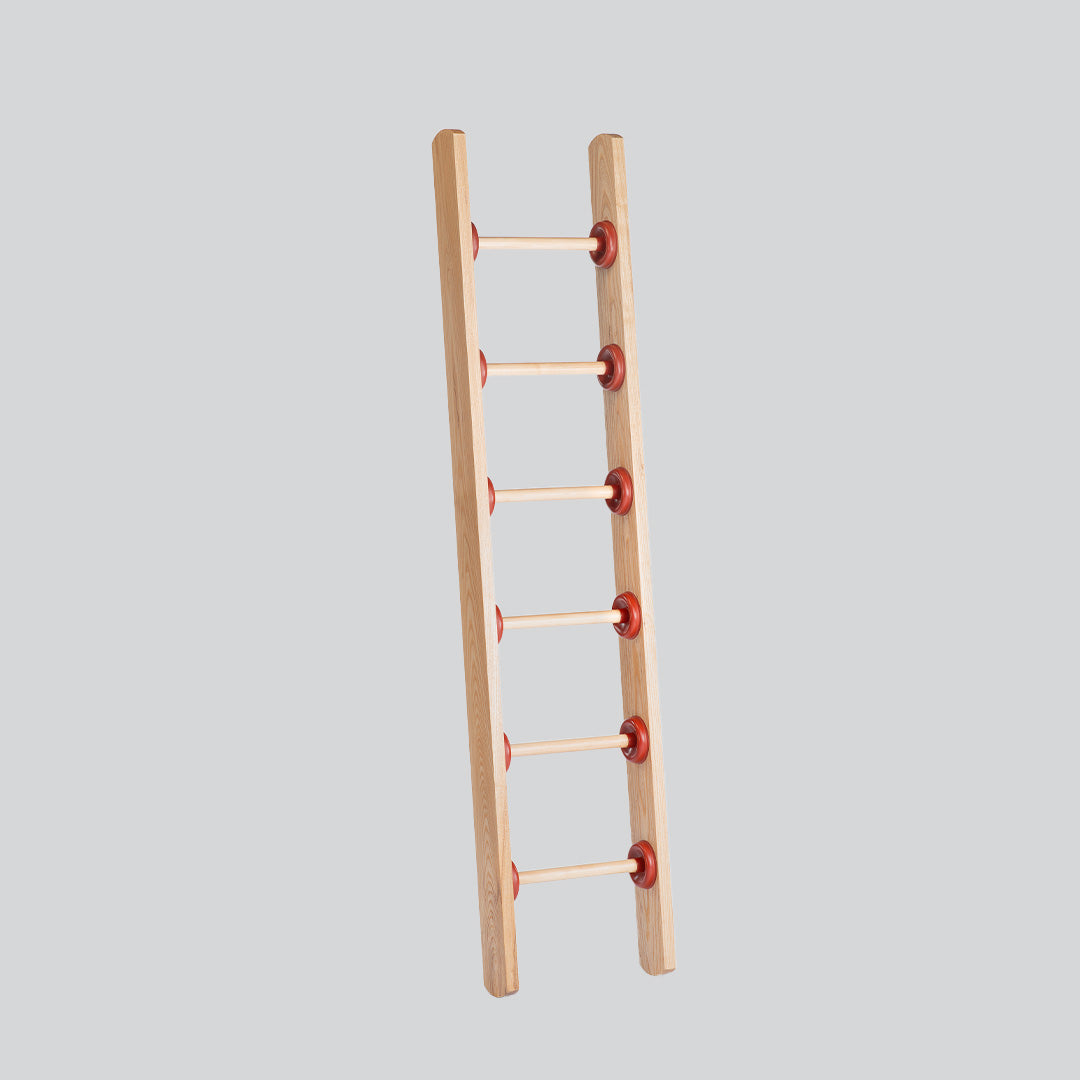 Plunger Ladder