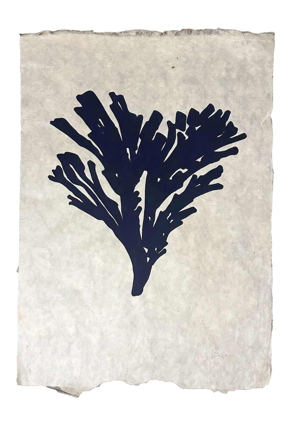 ‘Gwymon I’ Print